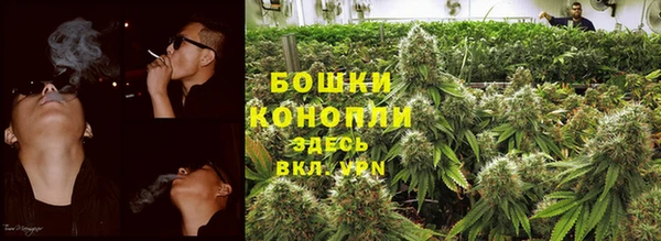 крисы Баксан