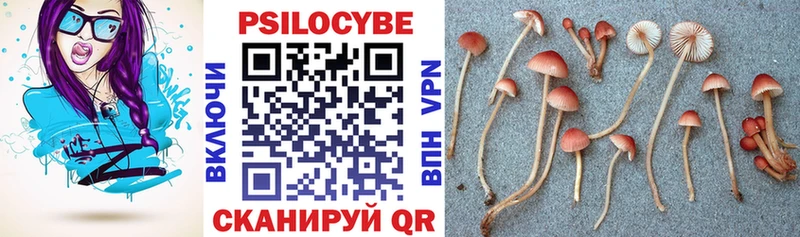 Псилоцибиновые грибы прущие грибы  цена наркотик  Вятские Поляны 