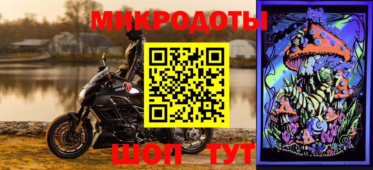 Псилоцибиновые грибы Psilocybine cubensis Вятские Поляны