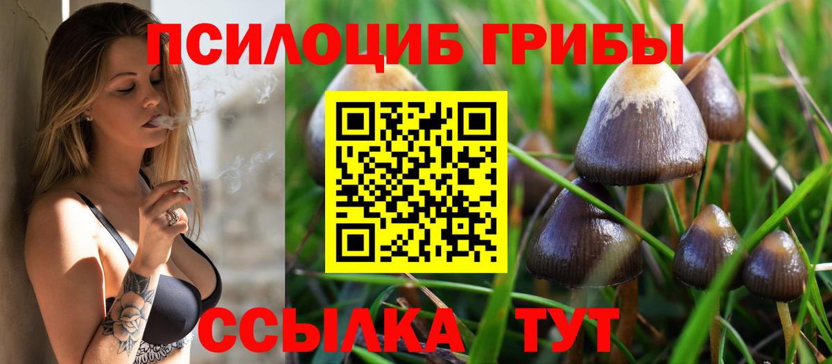 Канабис Вятские Поляны
